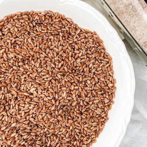 Native Acres 100% Whole Wheat Berries